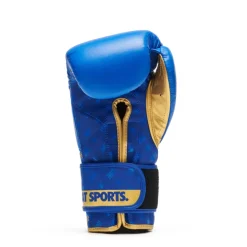 Guanti Boxe DNA Blu