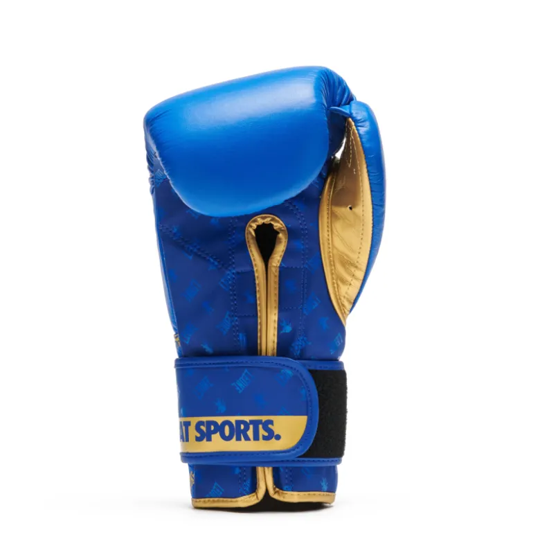 Guanti Boxe DNA Blu