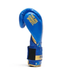 Guanti Boxe DNA Blu