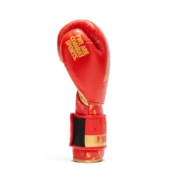 Guanti Boxe DNA Rosso